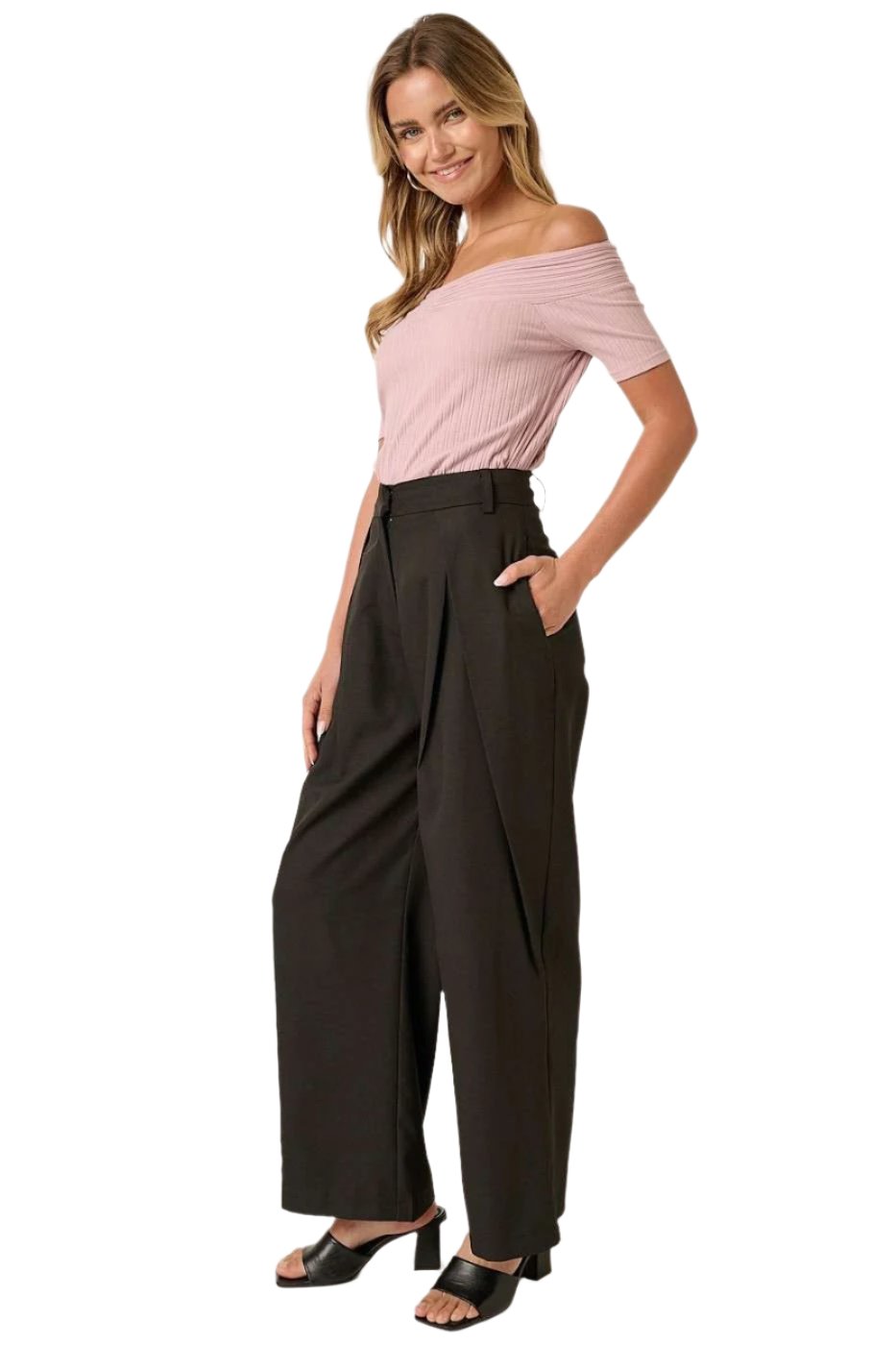 Penny Pleated High Waisted Pants