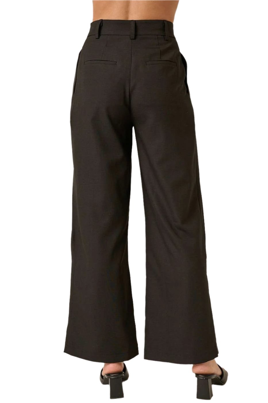 Penny Pleated High Waisted Pants