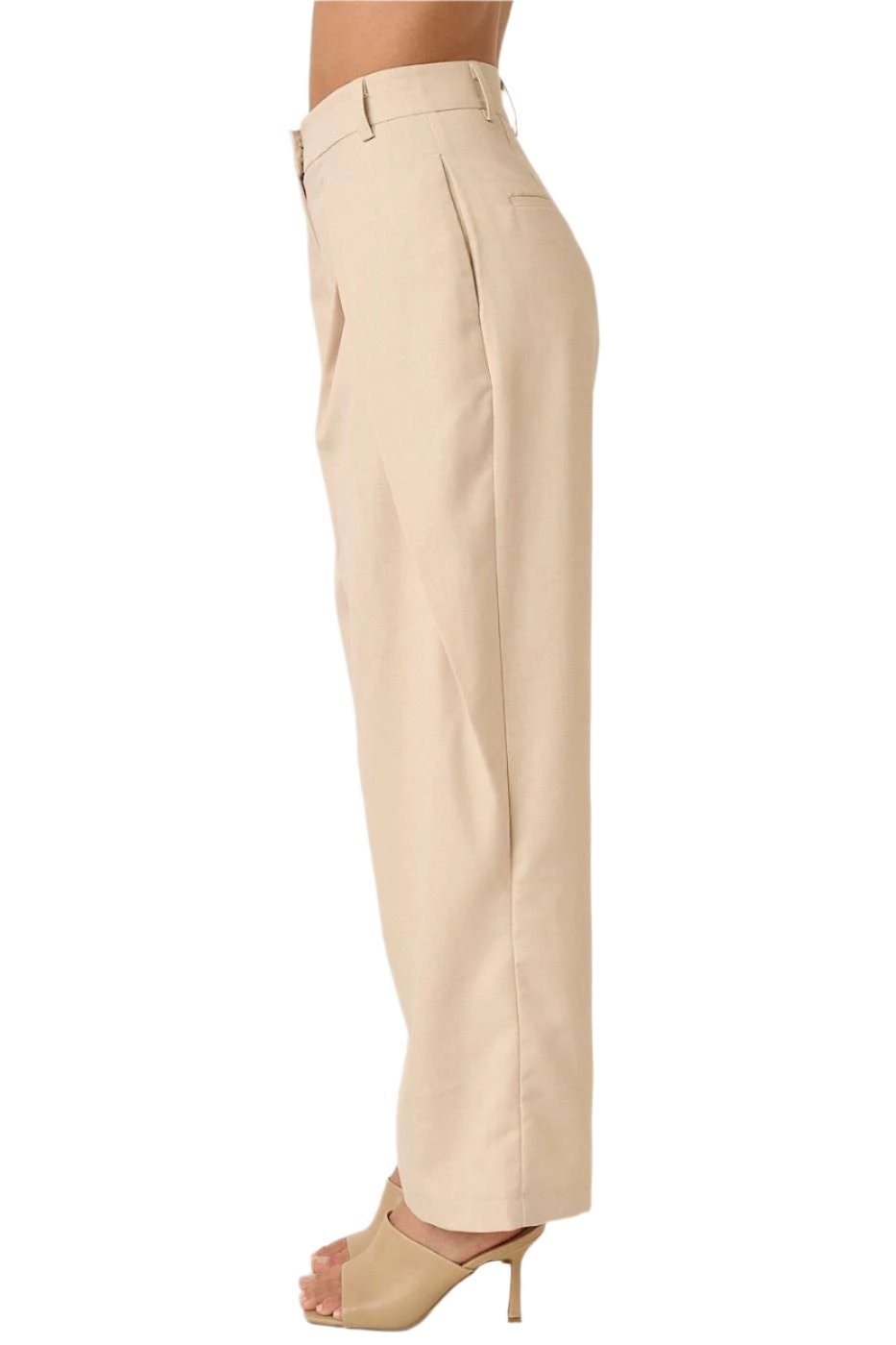 Penny Pleated High Waisted Pants