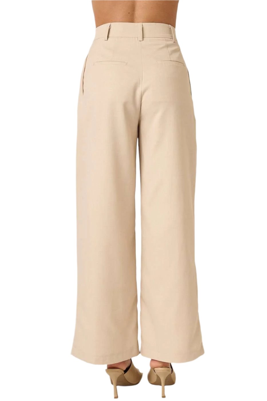 Penny Pleated High Waisted Pants