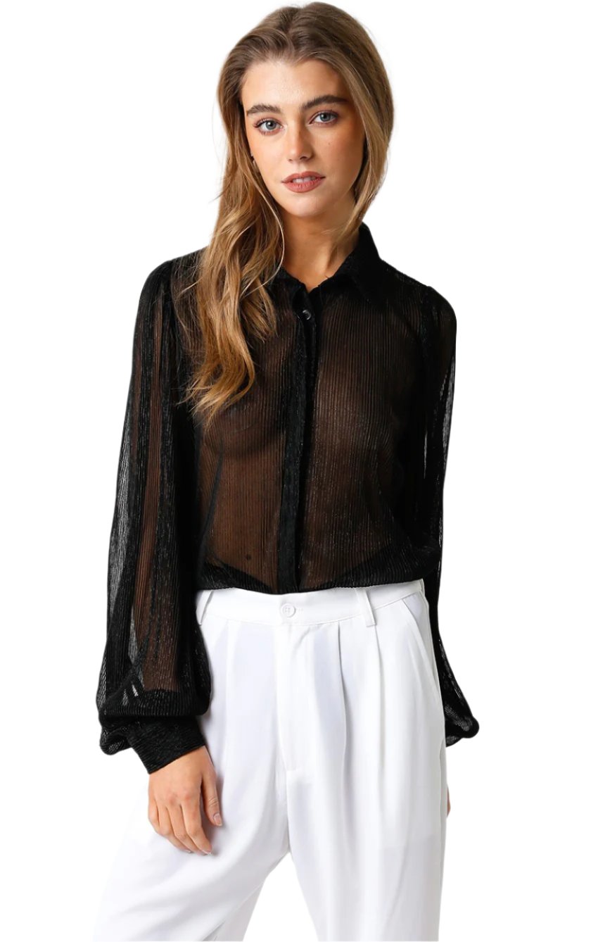 Eleri Shimmering Button Up Blouse