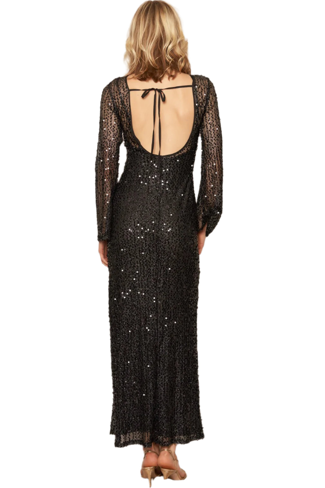 Hallie Sequin Long Sleeve Maxi Dress